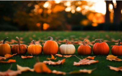 October at the Mustard Seed Project