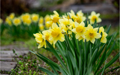 March at the Mustard Seed Project