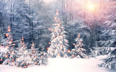 December at the Mustard Seed Project